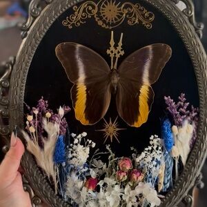 Decorative Butterfly and Floral Wall Art